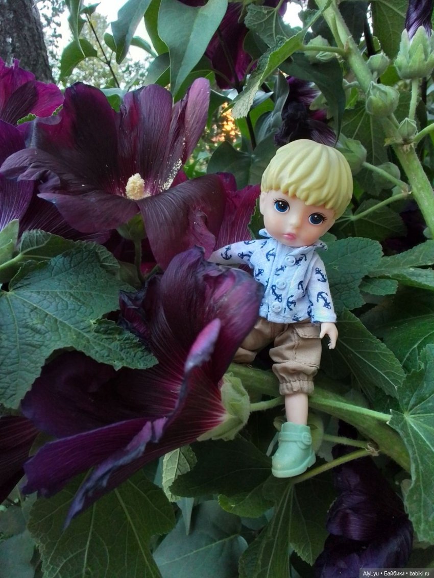Томми — цветочный эльф — Разные шарнирные куклы (не БЖД): редкие (фото 7)