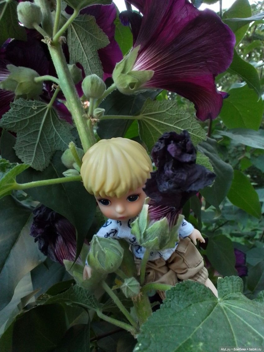 Томми — цветочный эльф — Разные шарнирные куклы (не БЖД): редкие (фото 9)