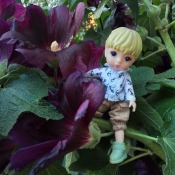 Томми — цветочный эльф