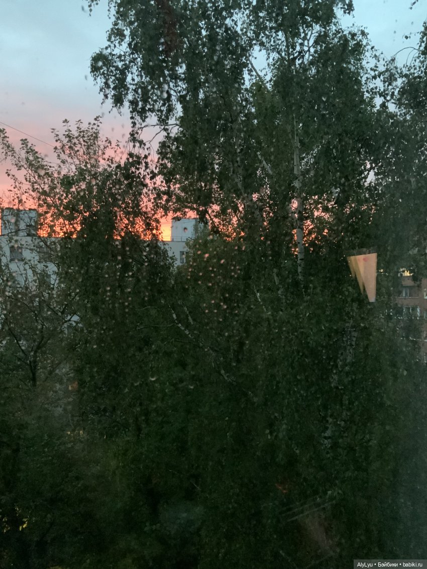 Читаем Гессе — Культура