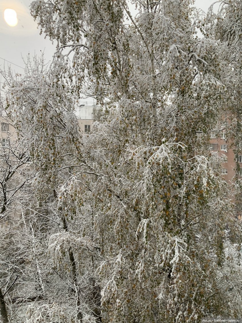 Осенние рисунки — Рисование и арт: скетчи