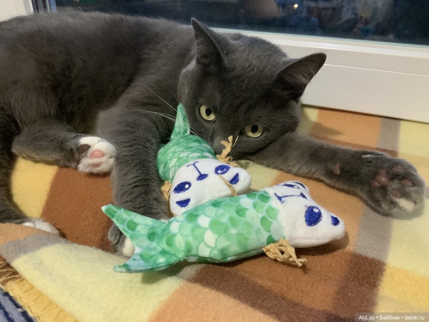 Осенние рисунки — Рисование и арт: скетчи (фото 7)