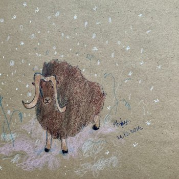 Снежные рисунки