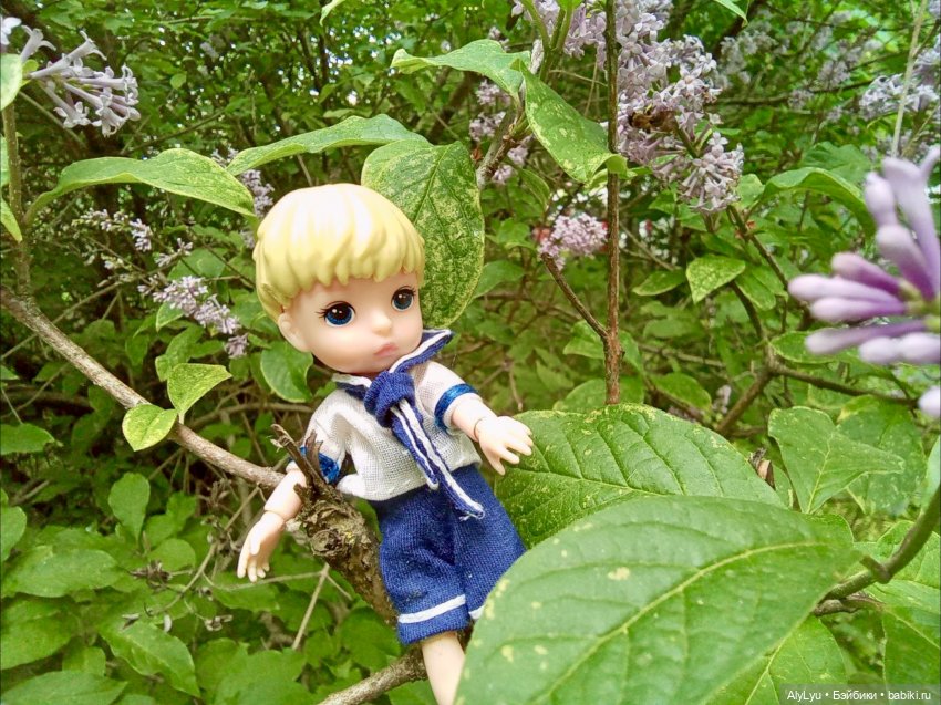 Моряки Зеленограда — Игровые куклы разных производителей (Разное): редкие бренды (фото 7)