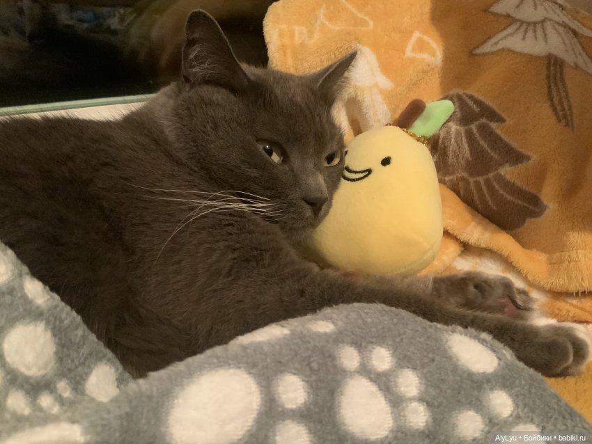 Море мая и июня — Рисование и арт: скетчи