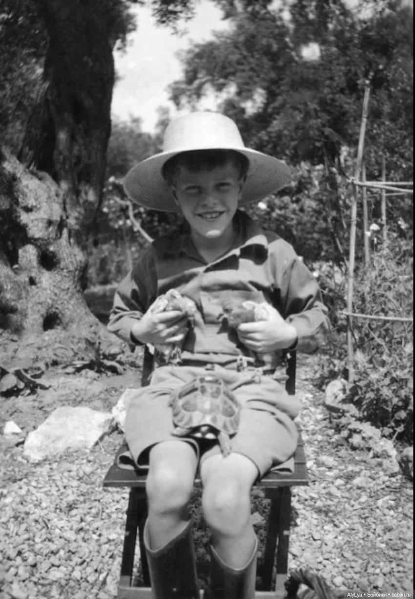 Как я ловил черепашек — Российские куклы Весна