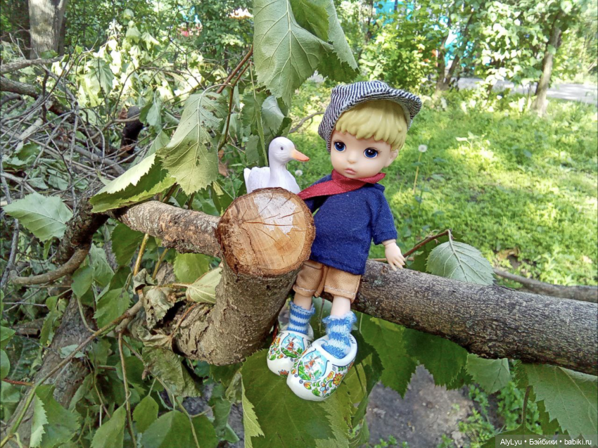 Томми в роли Нильса Хольгерссона