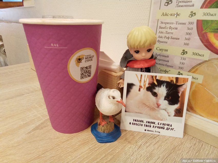 Томми и Чайка — Разные шарнирные куклы (не БЖД): редкие