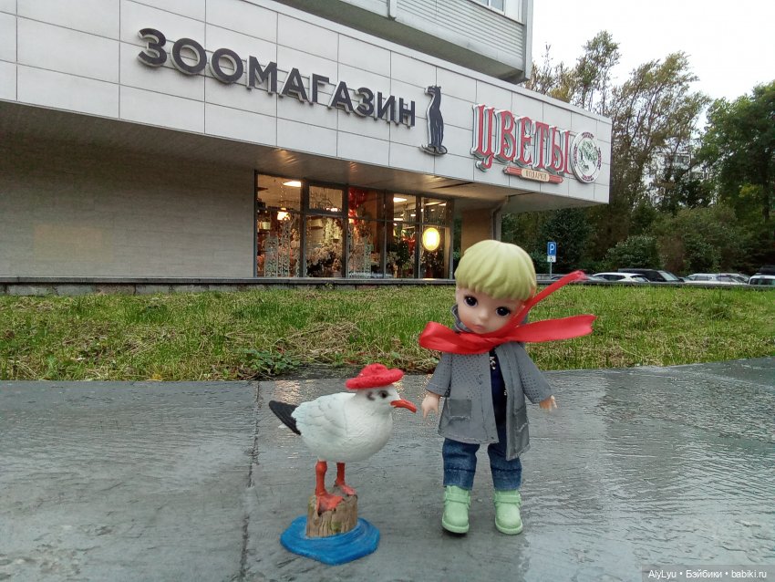 Томми и Чайка — Разные шарнирные куклы (не БЖД): редкие