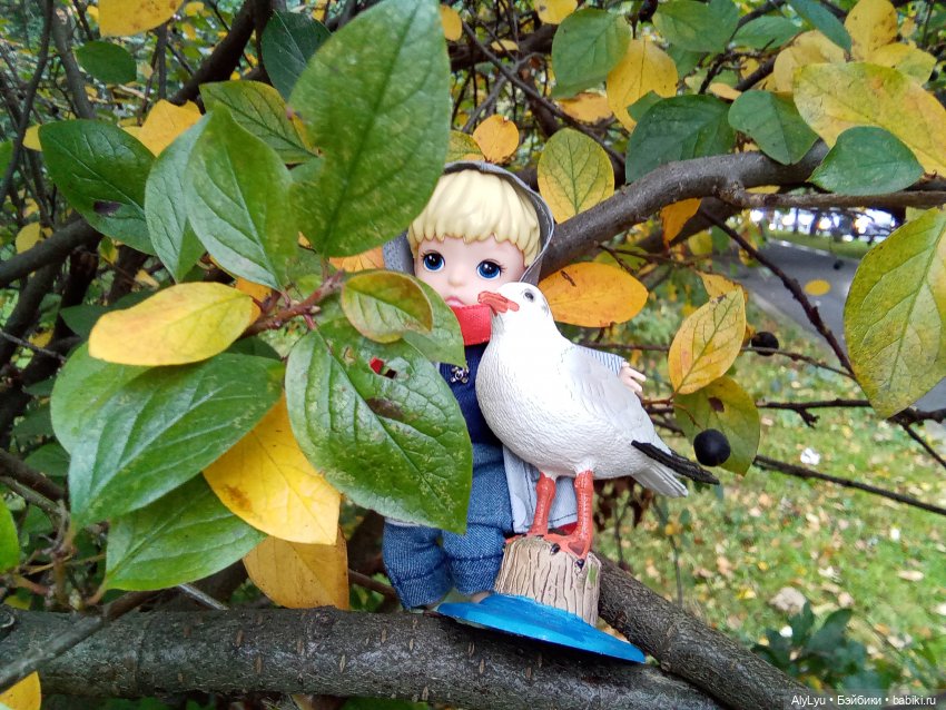 Томми и Чайка — Разные шарнирные куклы (не БЖД): редкие (фото 7)