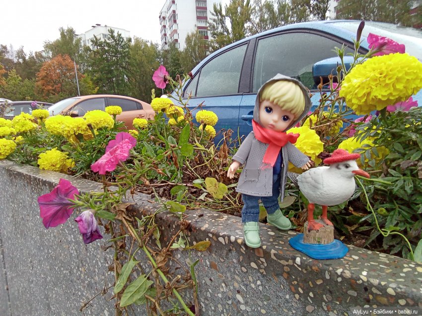 Томми и Чайка — Разные шарнирные куклы (не БЖД): редкие (фото 4)