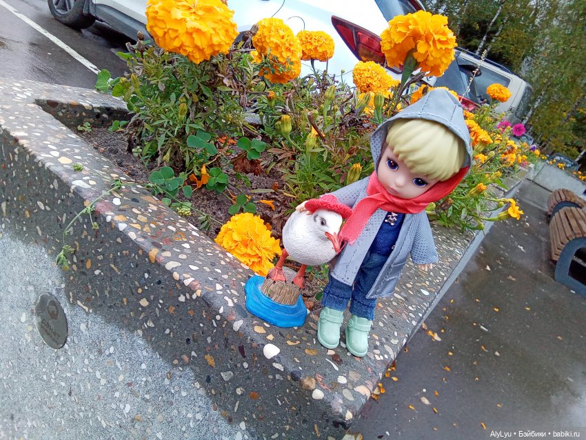 Томми и Чайка — Разные шарнирные куклы (не БЖД): редкие