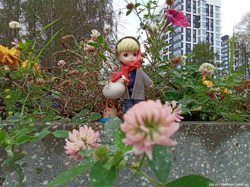 Томми и Чайка — Разные шарнирные куклы (не БЖД): редкие (фото 3)