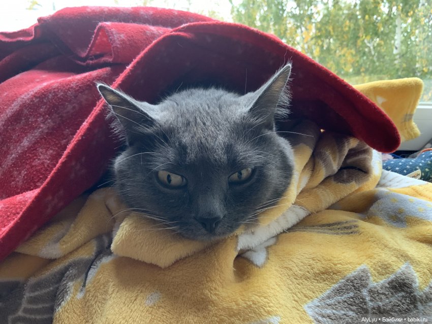 Осенние рисунки — Рисование и арт: скетчи