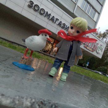 Томми и Чайка.