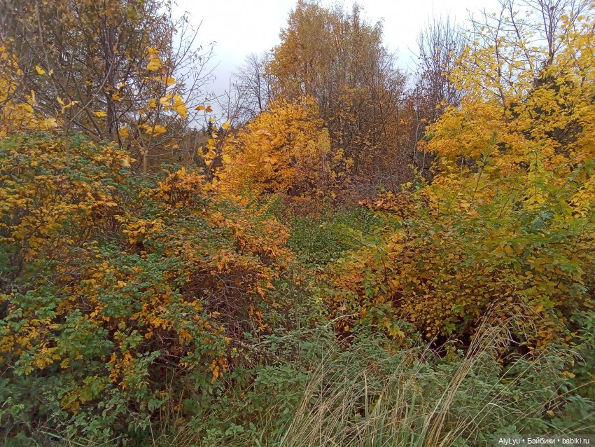 Колыбельная — Рисование и арт: скетчи