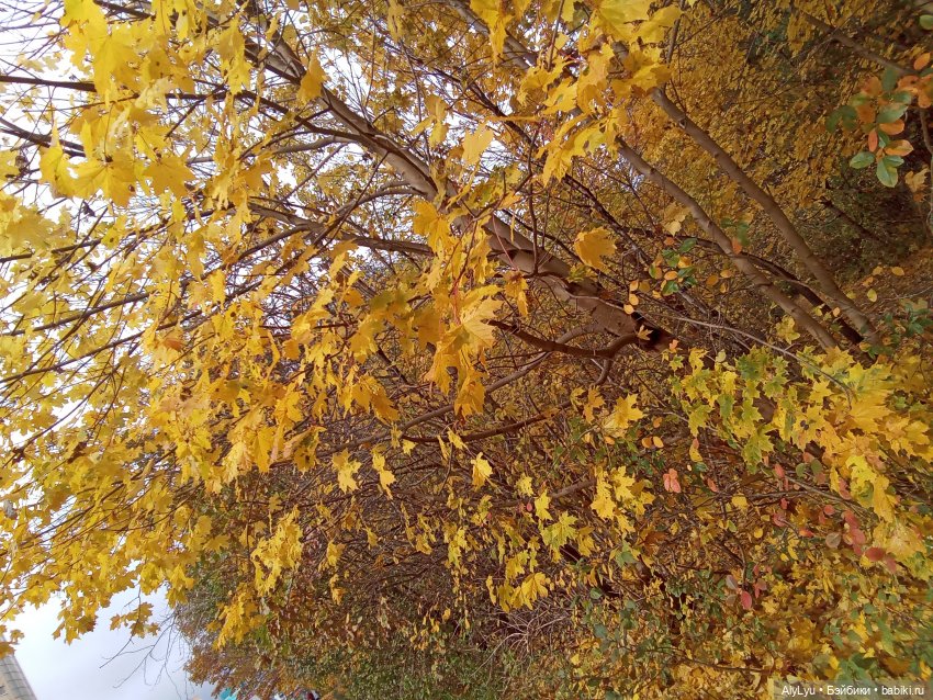 Колыбельная — Рисование и арт: скетчи (фото 9)