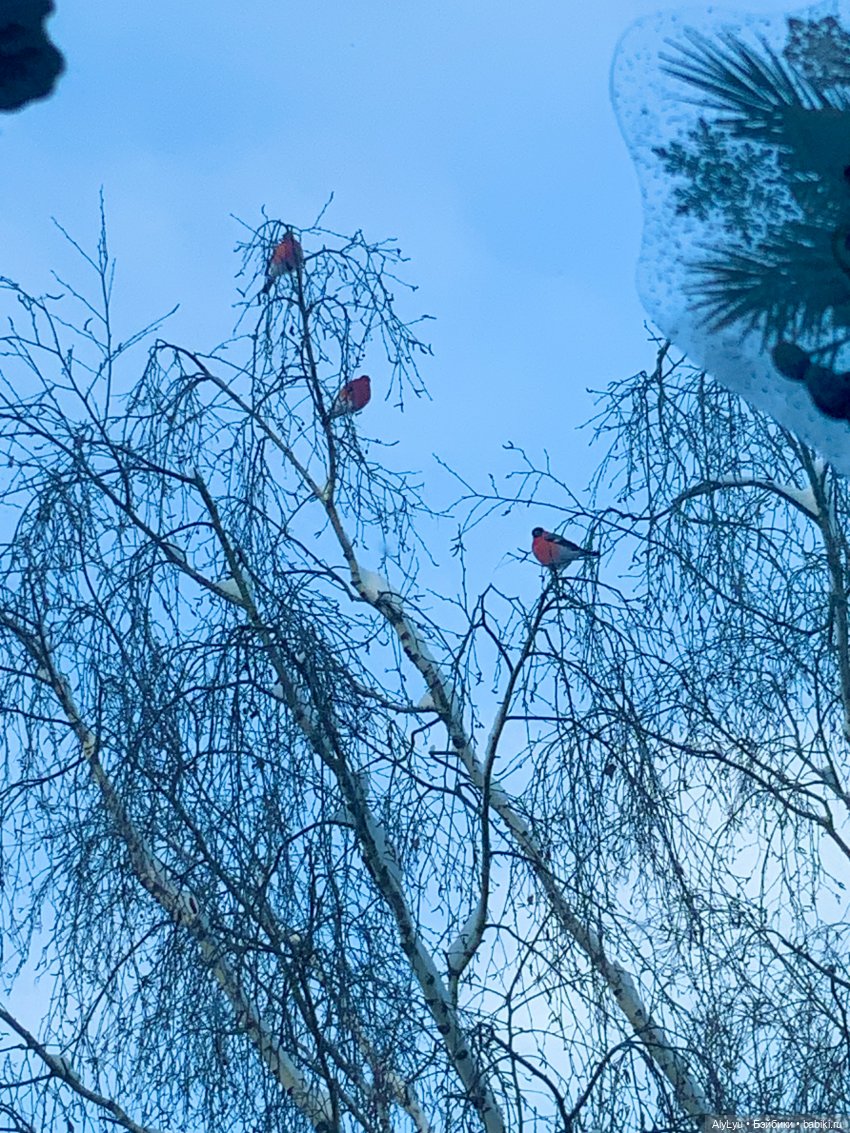 С Рождеством — Рисование и арт: скетчи