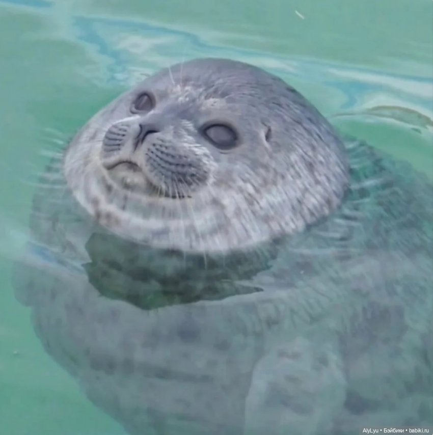 Зимние наряды — Игровые куклы разных производителей (Разное): редкие бренды (фото 6)