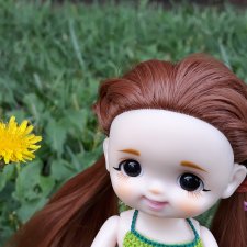 Мой первый опыт перепрошивки волосиков