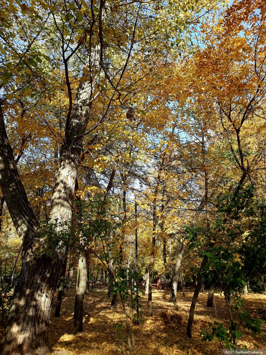 Одним осенним солнечным деньком