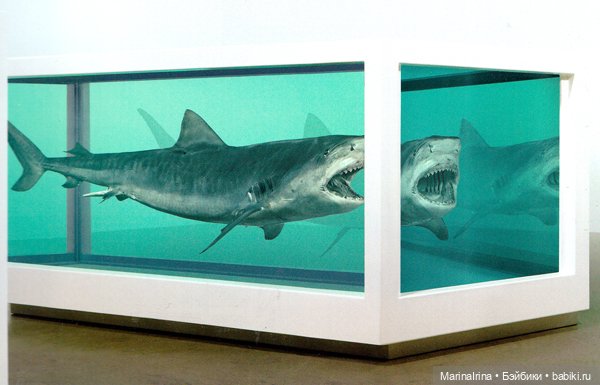 Откуда мы пришли, куда движемся и есть ли в этом смысл (фото 4)