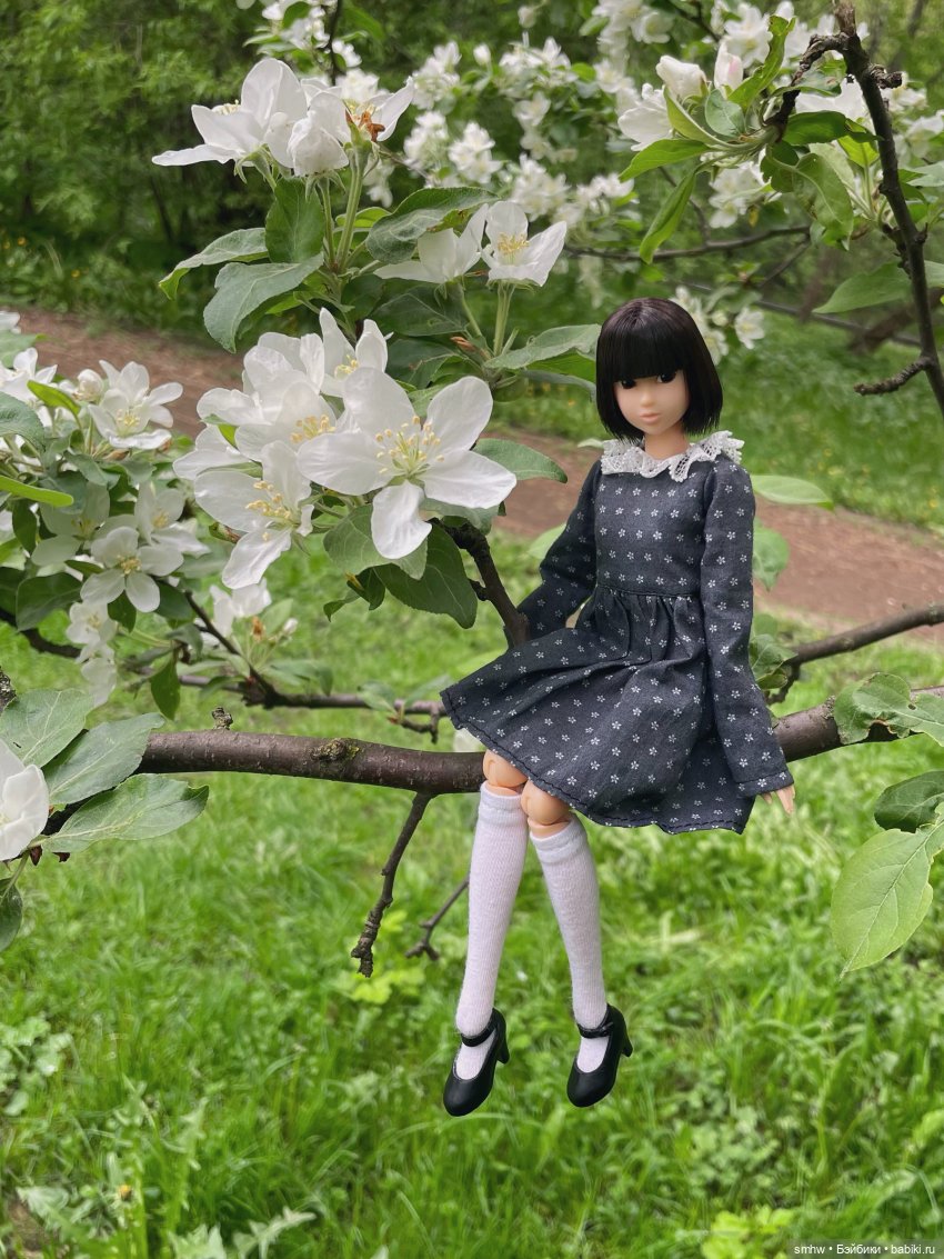 Нежность раннего утра | Бэйбики Нежность раннего утра — Куклы Momoko и Ruruko (Petworks (фото 7)