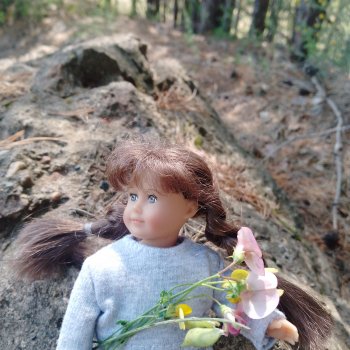 Лето, лес и песок