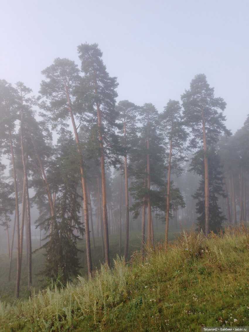 Утренний туман — Аналоги Барби и куклы 1/6: клоны 90