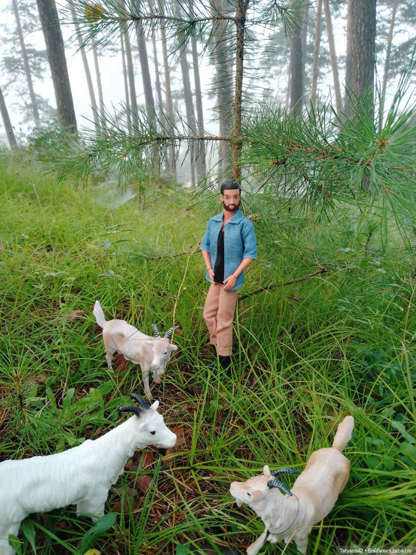 Утренний туман — Аналоги Барби и куклы 1/6: клоны 90 (фото 8)