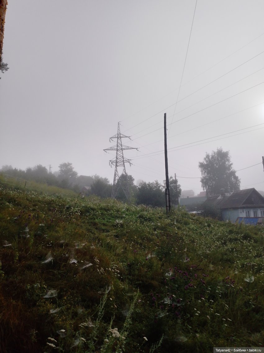 Утренний туман — Аналоги Барби и куклы 1/6: клоны 90