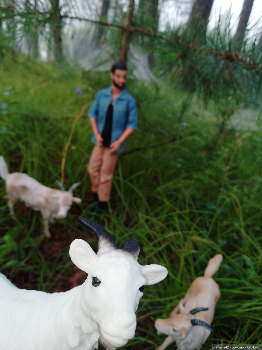 Утренний туман — Аналоги Барби и куклы 1/6: клоны 90 (фото 9)