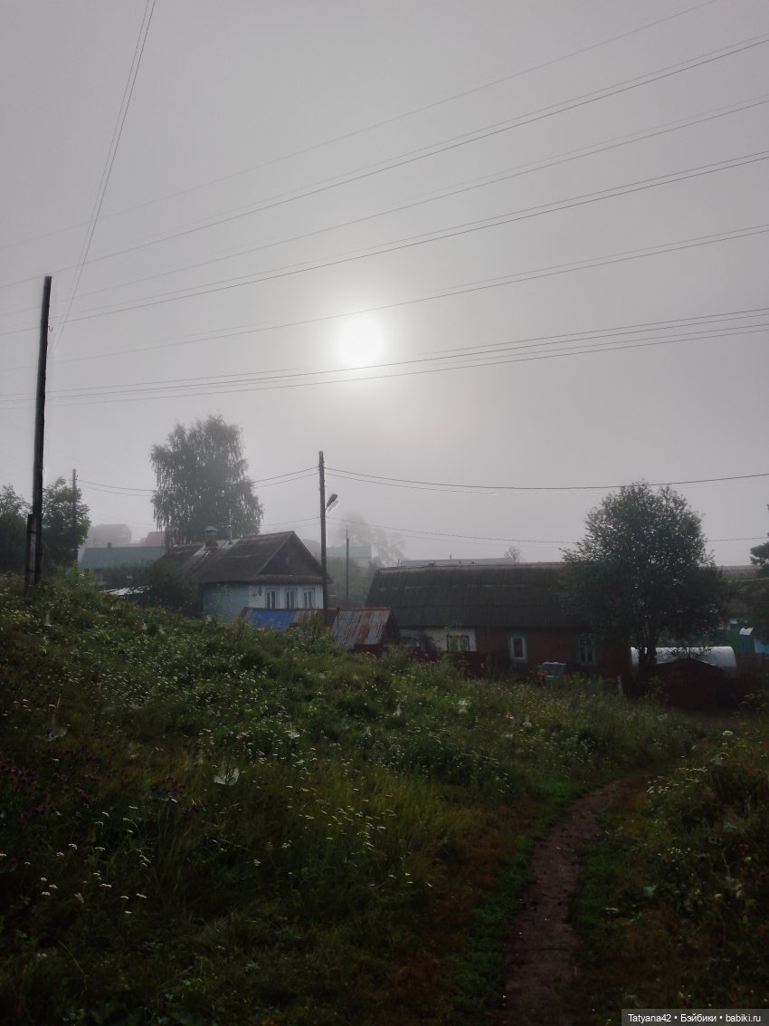 Утренний туман — Аналоги Барби и куклы 1/6: клоны 90