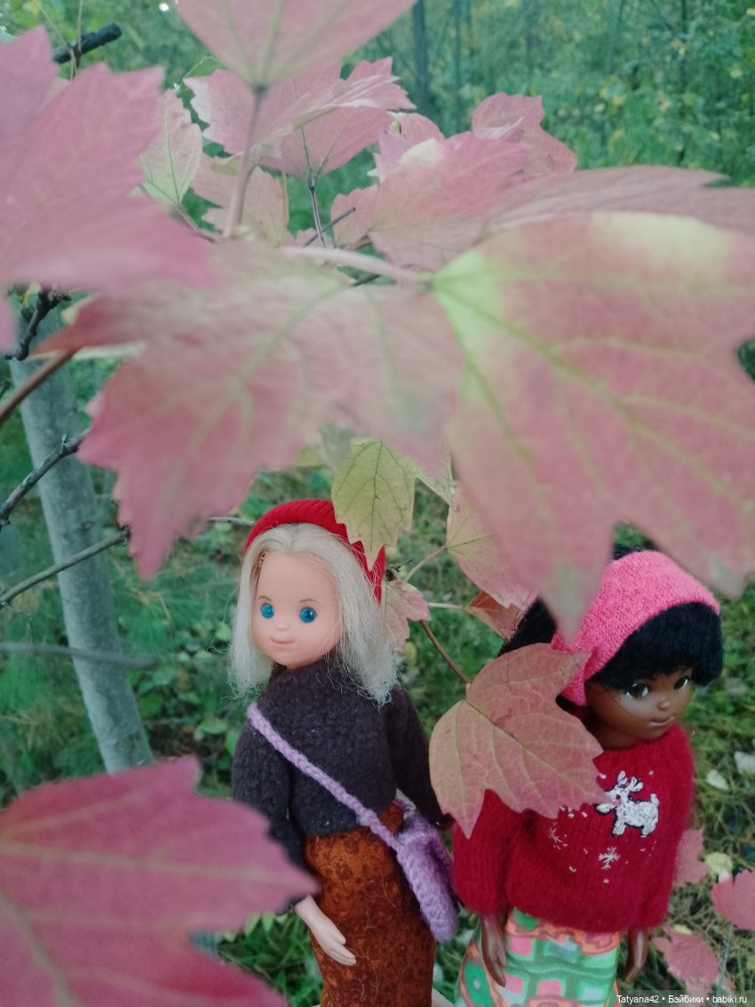 Осенние прогулки, вторая часть (фото 4)