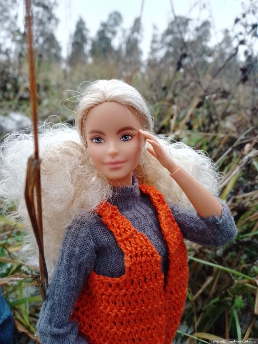 Последние полгода — Куклы Barbie (Барби): Looks
