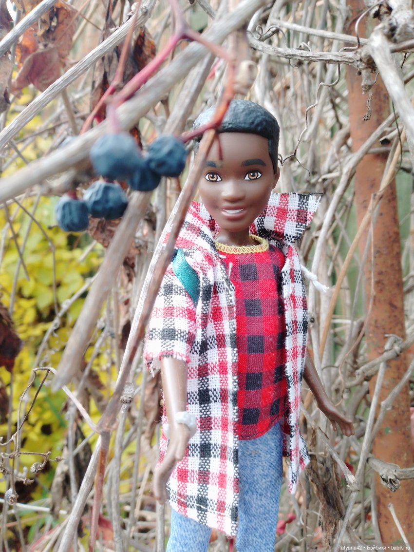 Последние полгода — Куклы Barbie (Барби): Looks