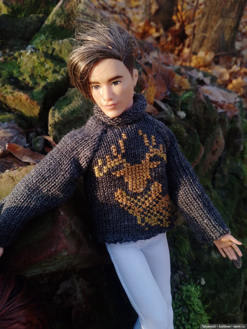 Последние полгода — Куклы Barbie (Барби): Looks