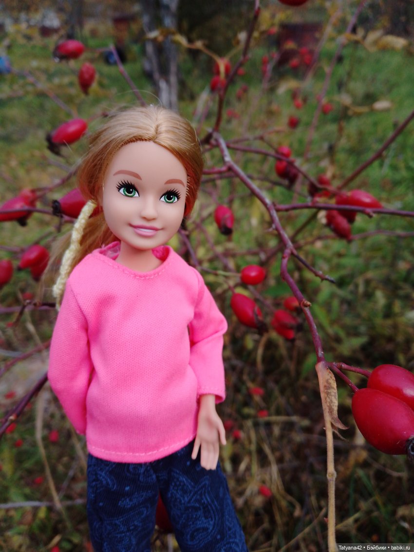 Последние полгода — Куклы Barbie (Барби): Looks