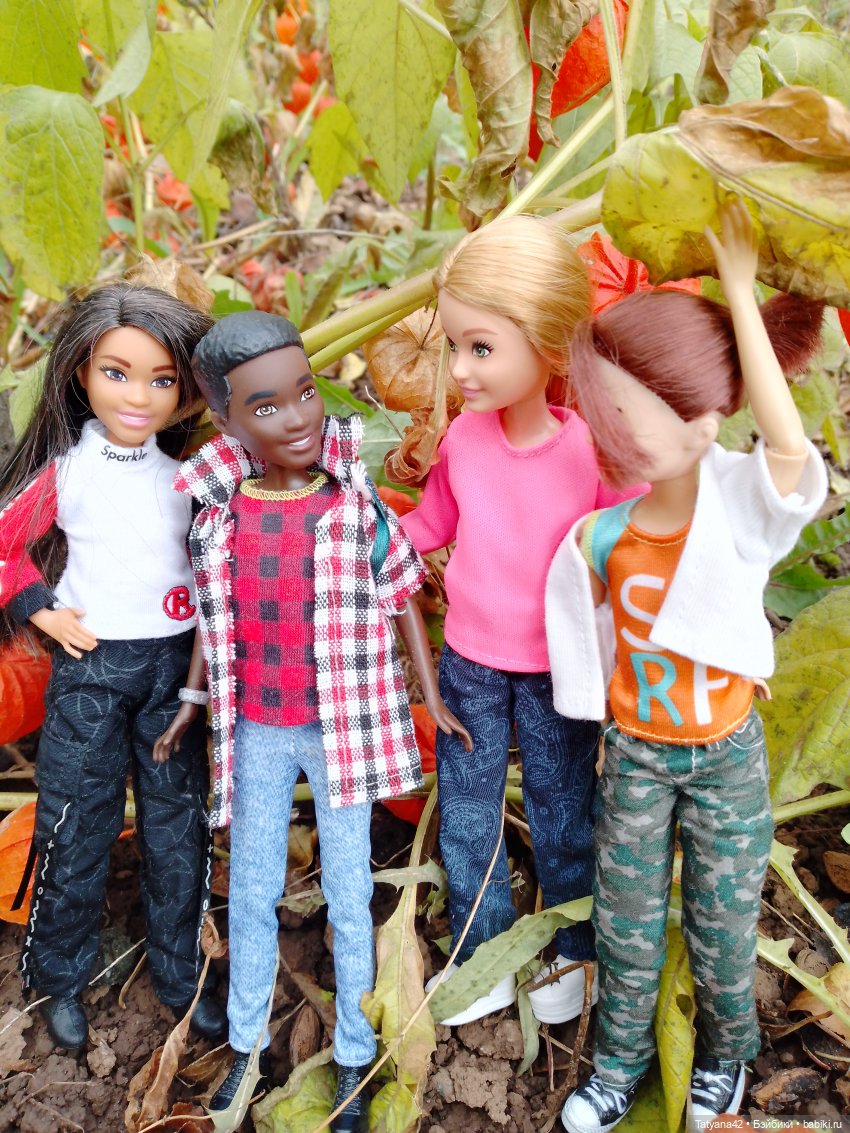 Последние полгода — Куклы Barbie (Барби): Looks