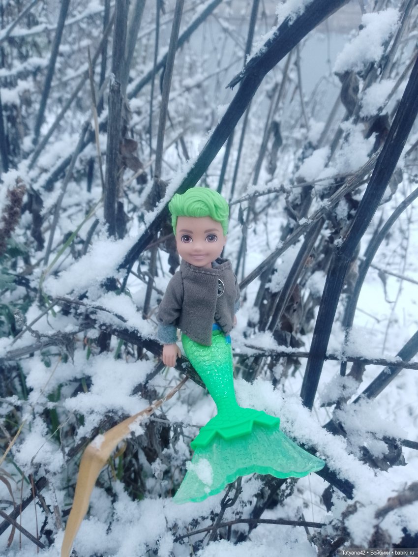 Последние полгода — Куклы Barbie (Барби): Looks