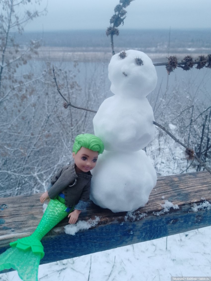 Последние полгода — Куклы Barbie (Барби): Looks