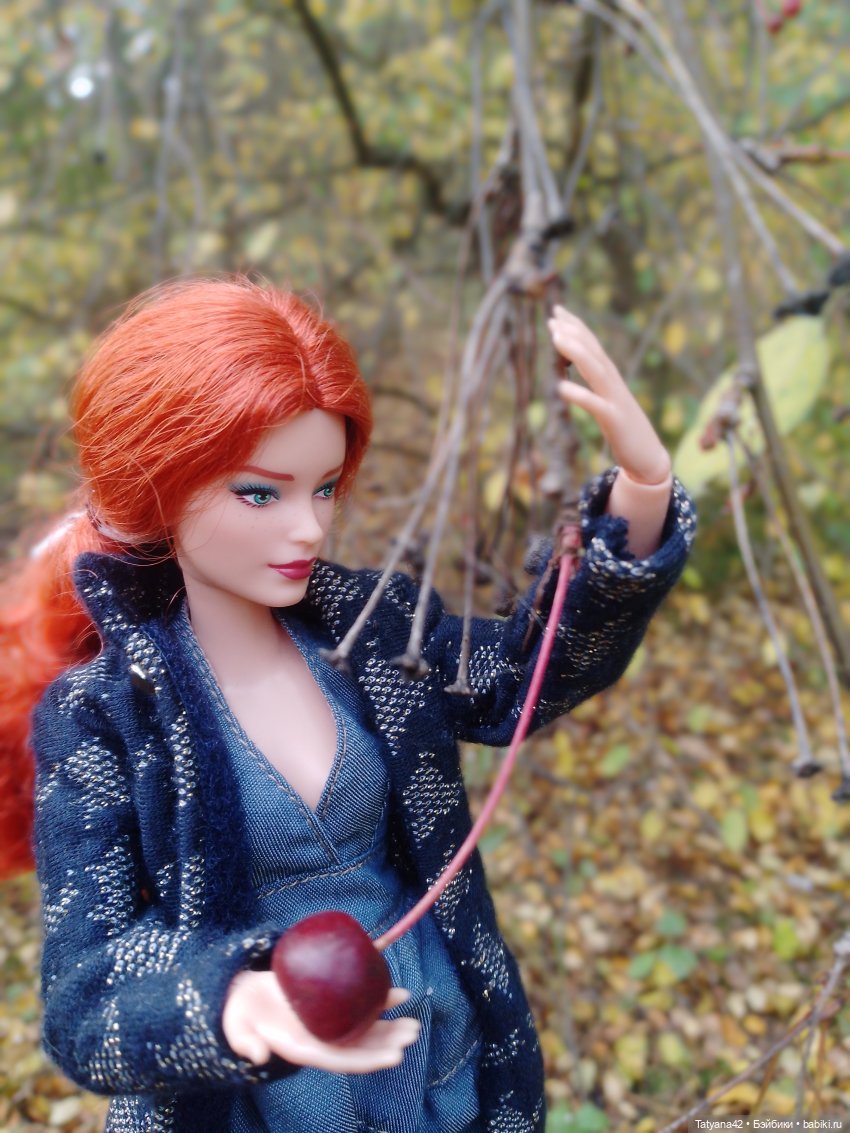 Последние полгода — Куклы Barbie (Барби): Looks