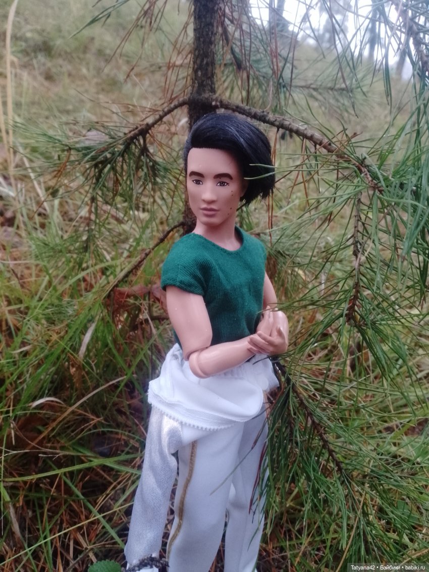 Последние полгода — Куклы Barbie (Барби): Looks