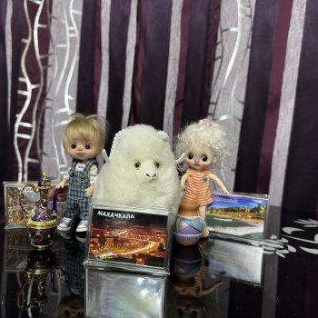 Что мы приобрели в Дагестане