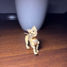 Йорский терьер фотополимер. БЖД