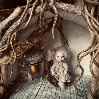 Дом-нора: процесс. Выбор домовладельца.