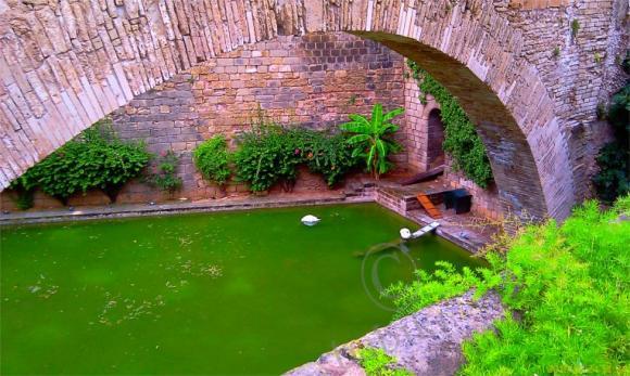 Пять часов в Пальма-де-Майорка