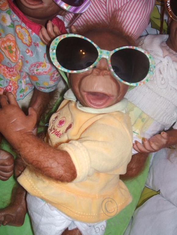 Обезьяномания :) Чита и компания (фото 6)