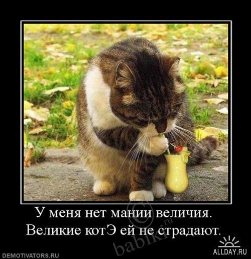 Позитифф!! Прибавила еще — Болталка и разговоры обо всем: жизнь