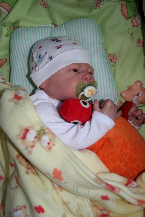 Один осенний день из жизни Арсения